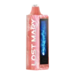 Stawberry ice - Normal edition
